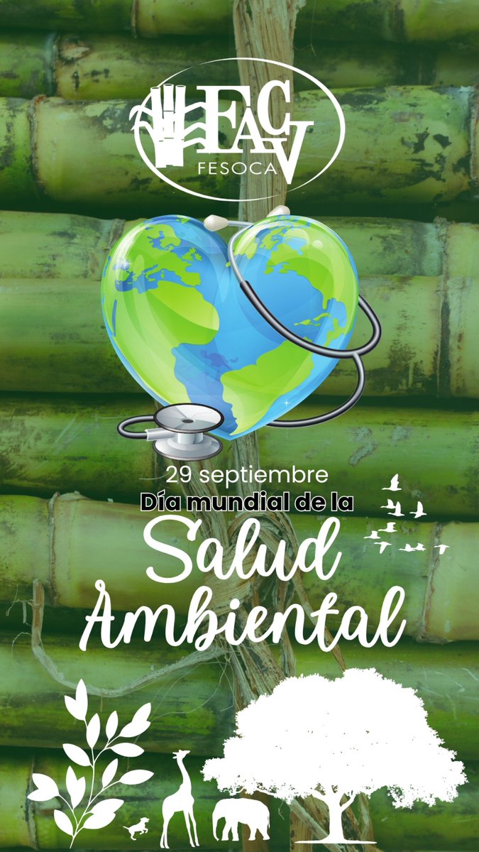 Día Mundial de la Salud Ambiental. En FESOCA sabemos que una tierra sana es un futuro próspero. ¿Sabías que el cultivo de la caña, bajo prácticas responsables, es clave en el equilibrio ecosistémico?. ¡El futuro es verde!
#DiaDeLaSaludAmbiental #Ecosistema #FuturoSostenible