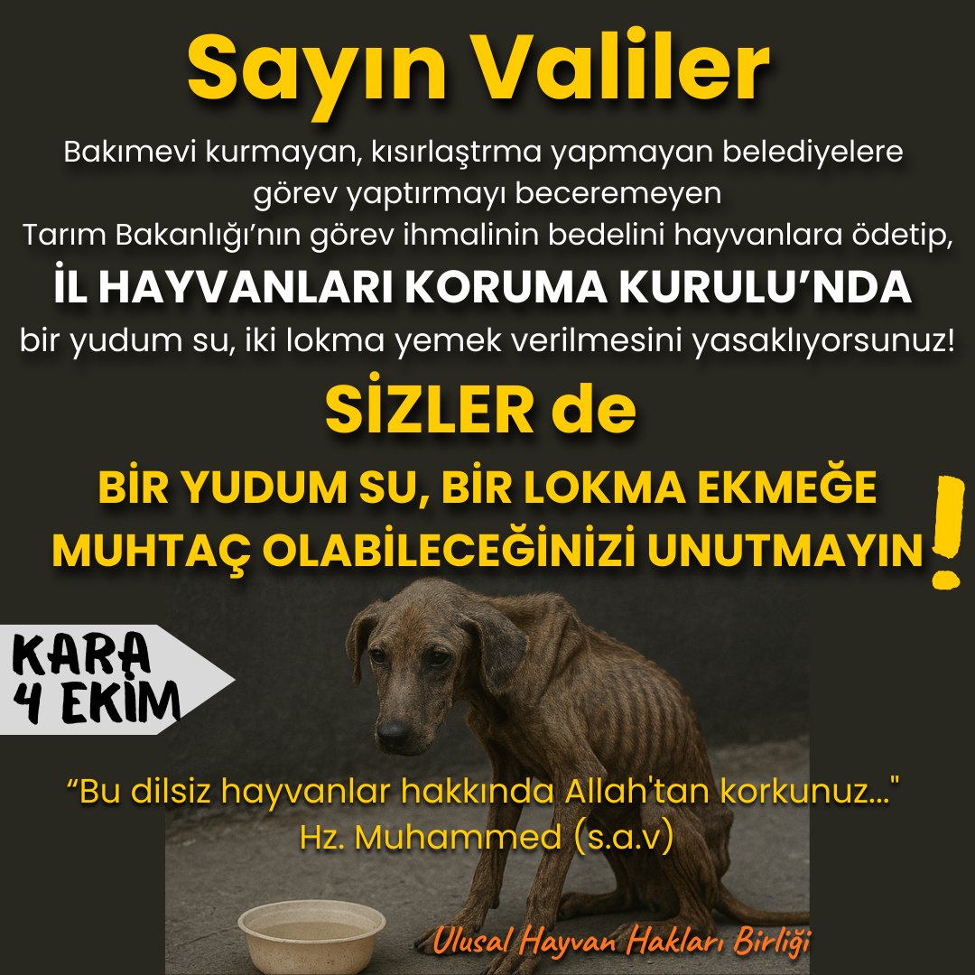 Sayın Valiler, 
Bakımevi kurmayan, kısırlaştrma yapmayan belediyelere görev yaptırmayı beceremeyen Tarım Bakanlığı’nın görev ihmalinin bedelini hayvanlara ödetip, İL HAYVANLARI KORUMA KURULU’NDA
bir yudum su, iki lokma yemek verilmesini yasaklıyorsunuz!
SİZLER de BİR YUDUM SU,