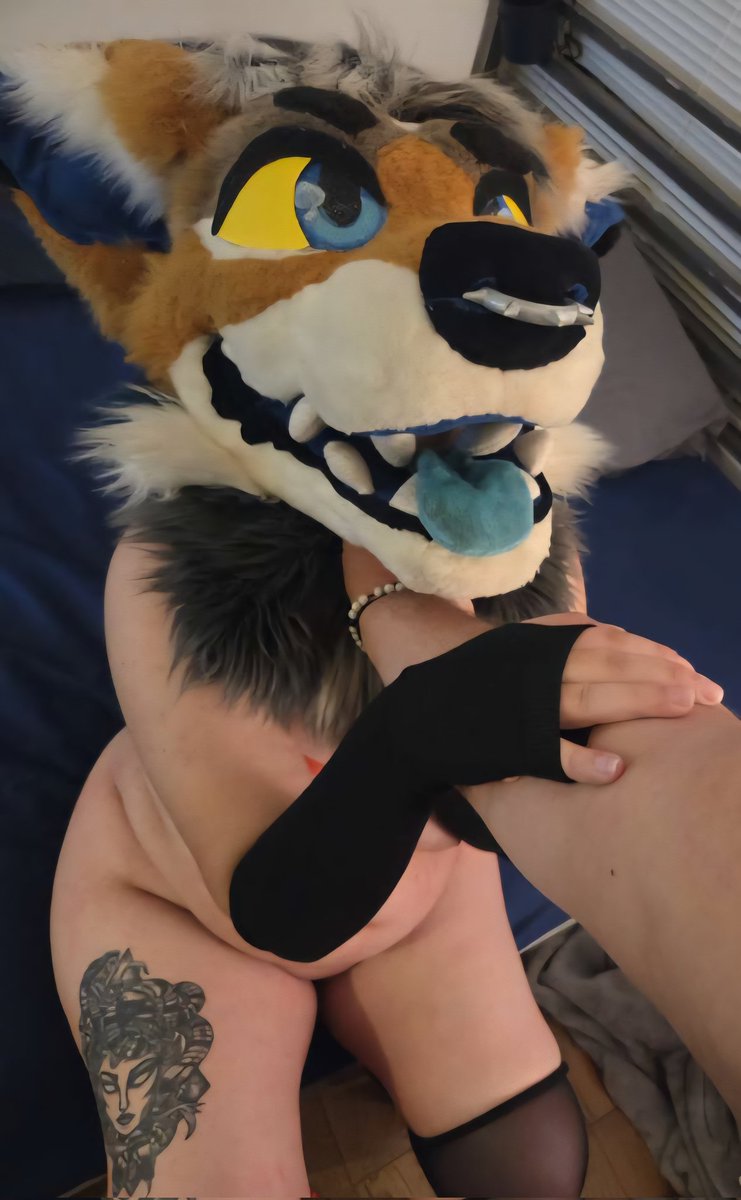 RayAD41's tweet photo. I forgot my collar, so can I use your hand instead??

#murrsuit #softsuiter #nsfw_twt #nsfw #murrsuiter #murrsuiting #nsfwtwt #yiff #nsfwfurry #furryyiff #furrynsfw
#furryad https://t.co/cTb4Hzm465