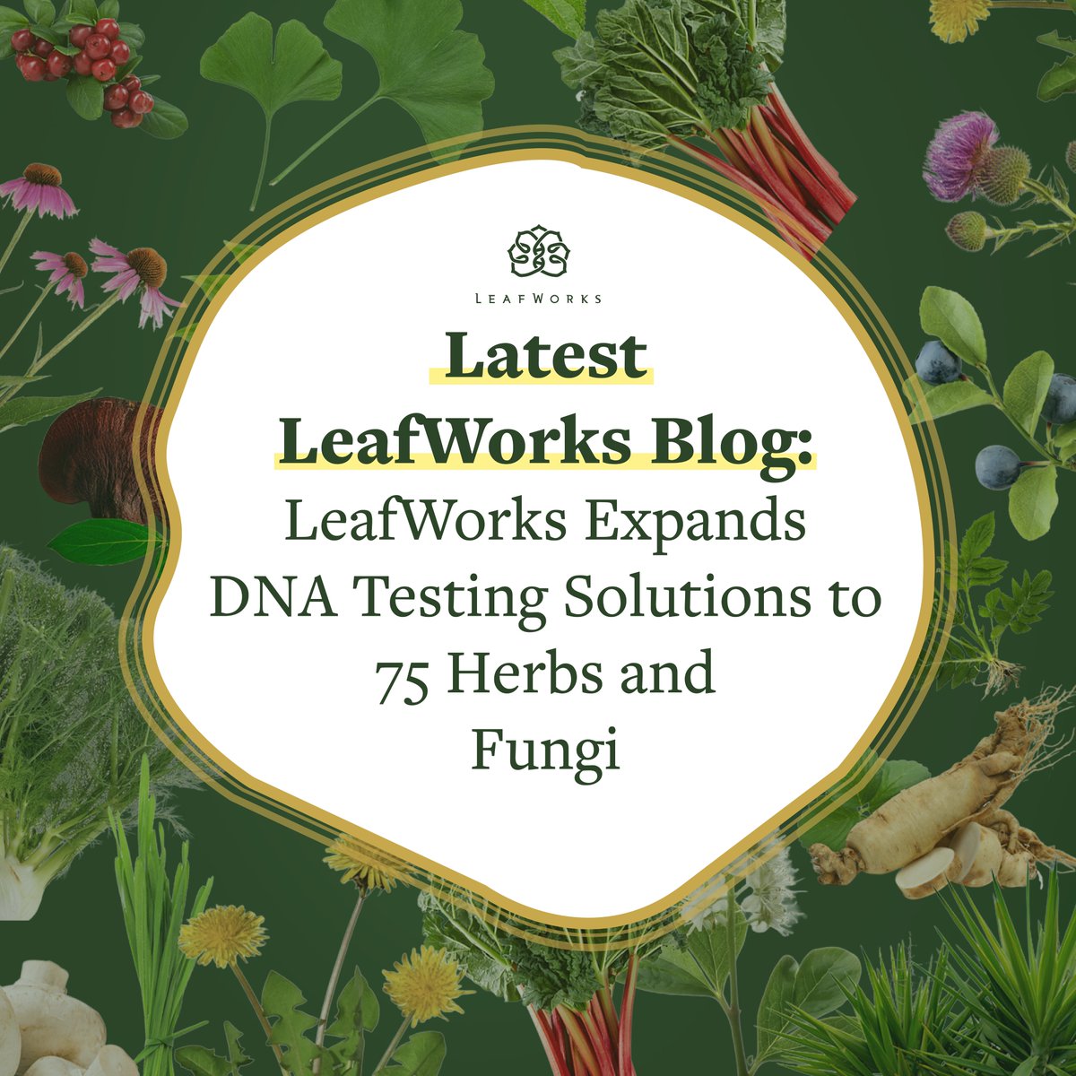 LeafWorks tweet media