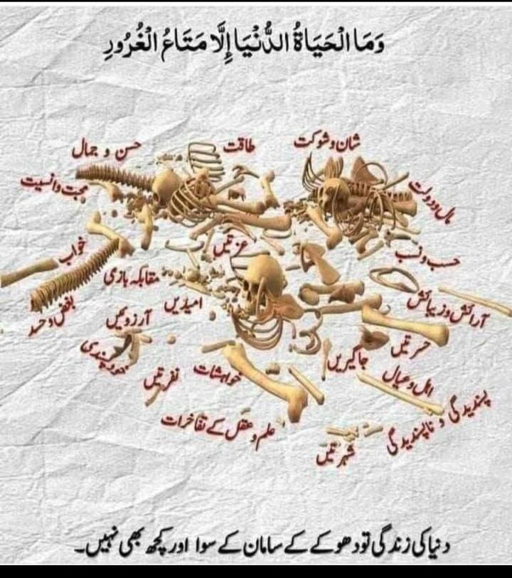Adeel Tariq tweet media