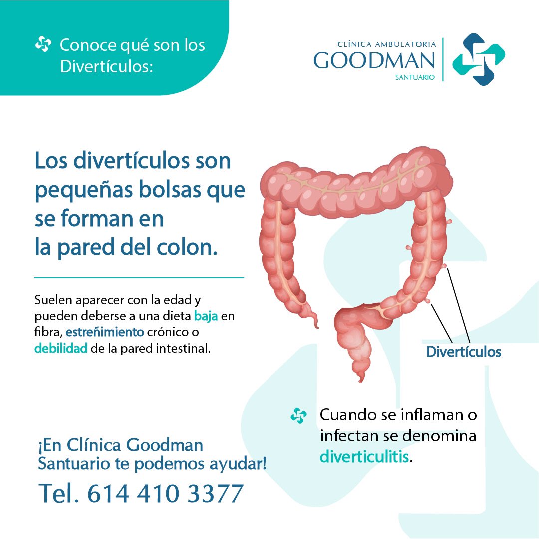 tarangogo's tweet photo. En Clínica Goodman cuidamos tu salud digestiva con atención profesional y de calidad. 💙

📍Calle Matamoros #2411, col. Jardines del Santuario.
Chihuahua, Chih.

📞 6144103377
📲 Visita nuestra página web:
https://t.co/dxHktAEkQg

#ClínicaGoodman #Divertículos
#SaludDigestiva https://t.co/zvjHkRQIXT