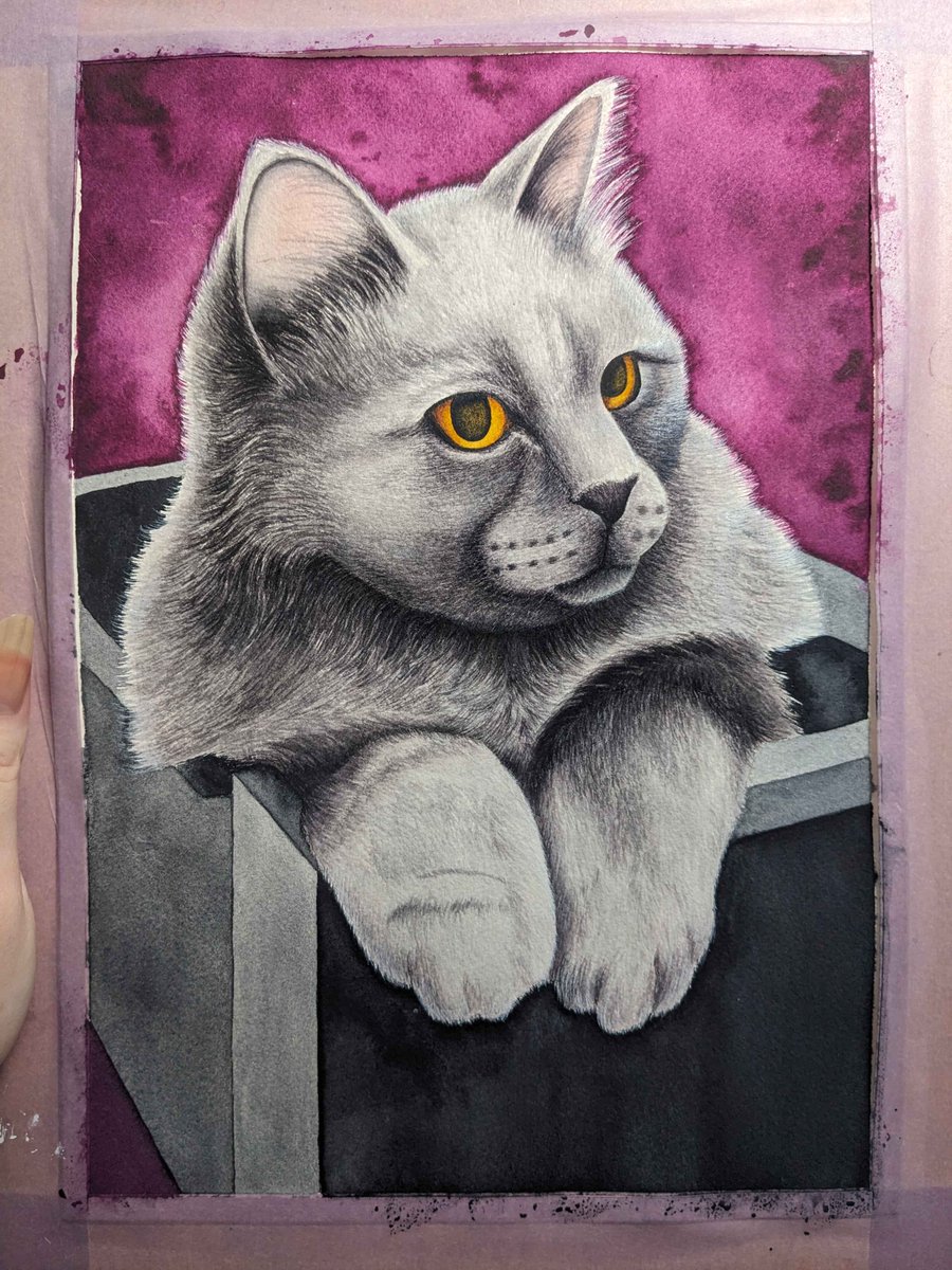 Random_Violette's tweet photo. Live now! Hoping to finish our watercolour kitty portrait tonight😊

https://t.co/mfTwiBTI4v

#twitchartist #art #traditionalart #watercolour #watercolor #smallstreamer #SupportSmallStreamers https://t.co/DQAfQPyJUB