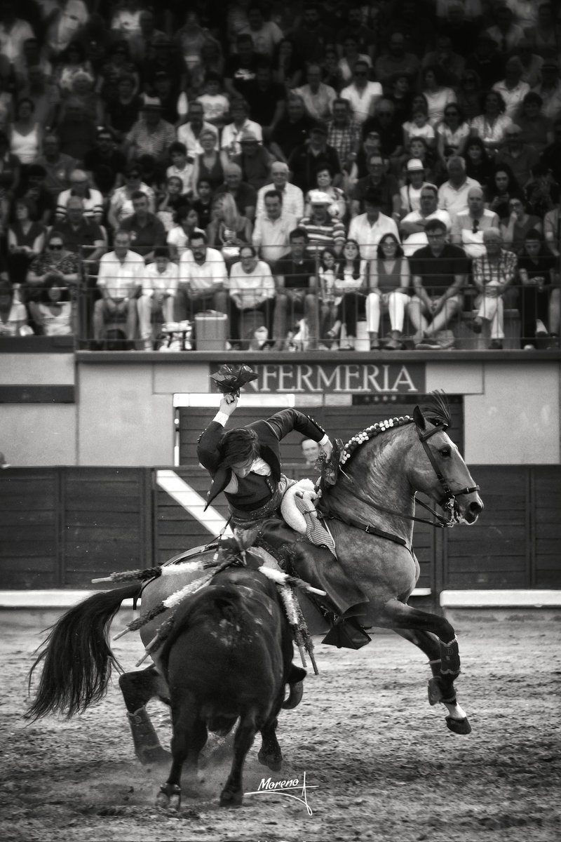 A las buenas noches...
Yo me entiendo. 
Portarse bien. 

#DiegoVentura   #Mividaenunafoto
#Momentos #Detalles #FotografíaTaurina #FMorenoR #ByN #BlancoyNegro #Sepia
<a href="/DiegoVentura82/">Diego Ventura</a>