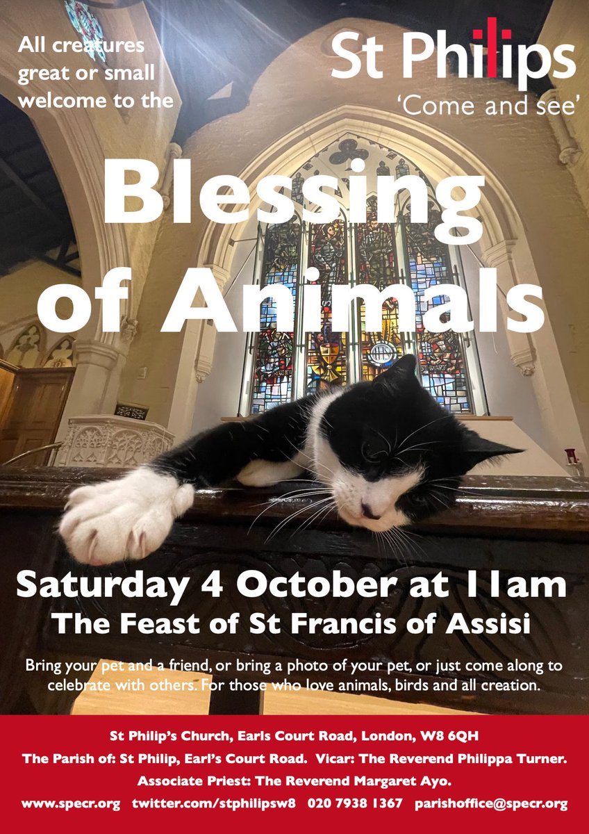 StPhilipsW8's tweet photo. All are welcome to our Blessing of Animals Service. Saturday 4 October at 11am. For those who love animals &amp; all creation. Bring your pet, or bring a photo of your pet, or just come along to celebrate with others. Come and See @CatSpecr @dioceseoflondon @churchofengland @RBKC https://t.co/2JNQom0NuV