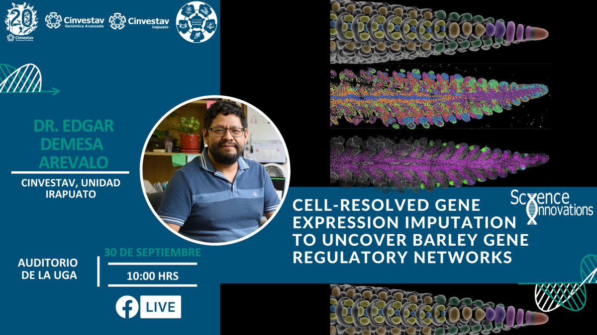 uga_langebio's tweet photo. 🔶#ScienceInnovations🔶
🔶Se les invita al Seminario: "Cell-resolved gene expression imputation to uncover barley gene regulatory networks"
🗣Dr. Edgar Demesa @CinvestavIra
📅MAÑANA 30 de septiembre de 2025
⏰10 h
📍Auditorio de @uga_langebio
🧬Host: Lab de Genómica Evolutiva https://t.co/ctCztDqbzF