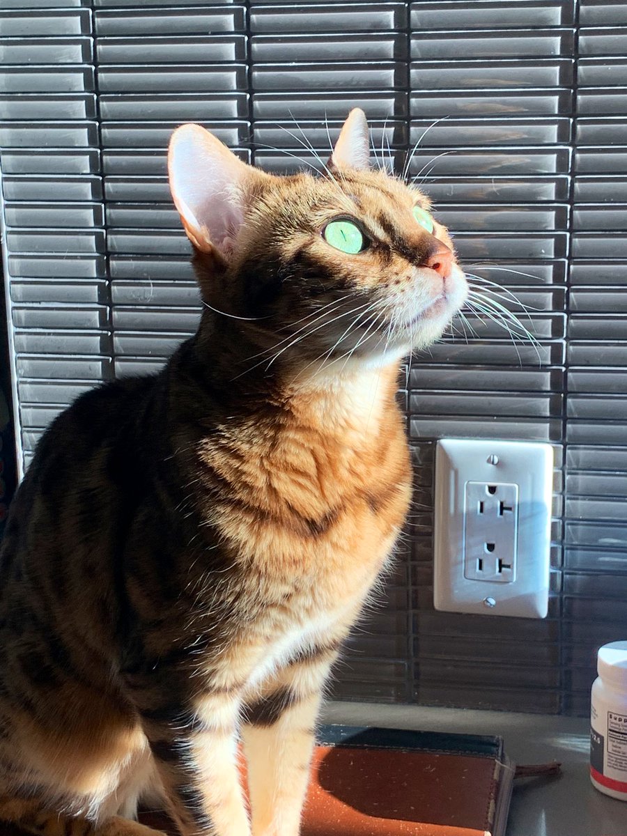 PoupouOcarre's tweet photo. T’as raison ma princesse c’est toi le soleil https://t.co/t128NcyKbh