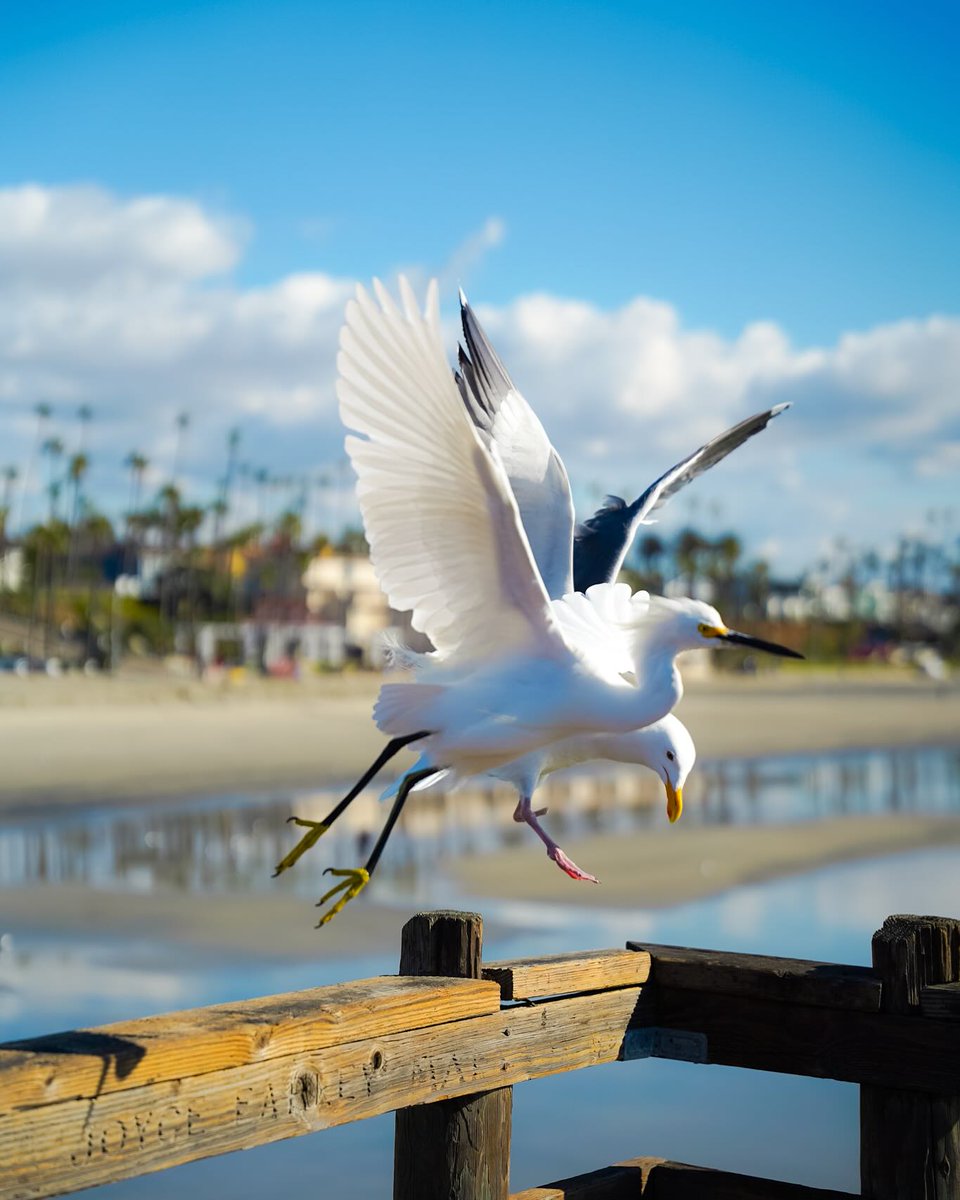 Hope your week is taking off to new heights! 🪽 
-
Photo by @byitziarturner