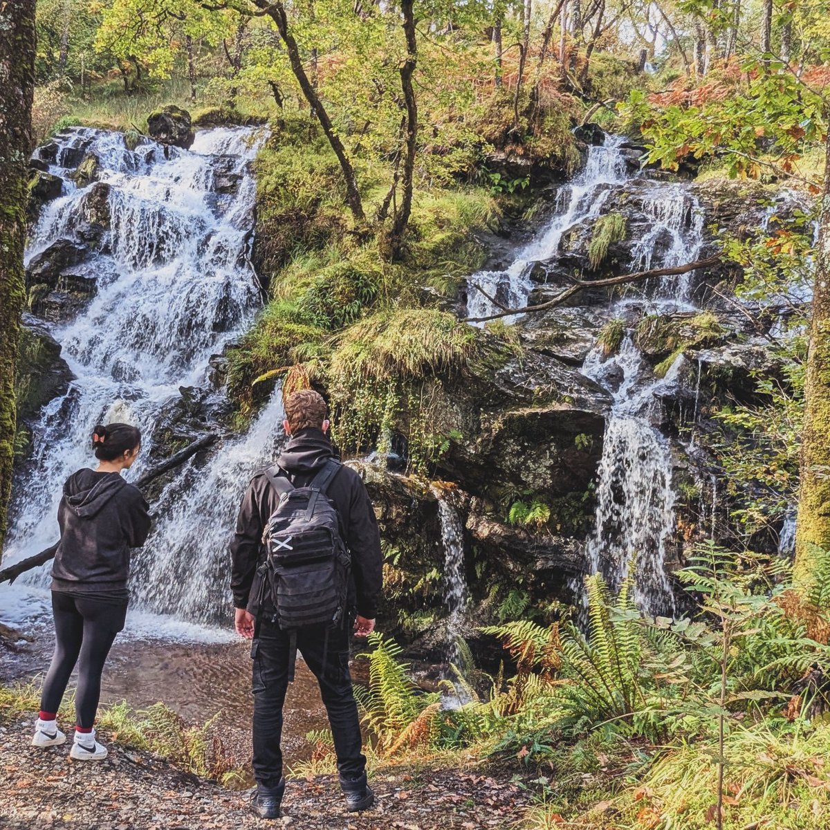 A nice wee walk through the woods with some coffee and my partner in crime 🏴󠁧󠁢󠁳󠁣󠁴󠁿