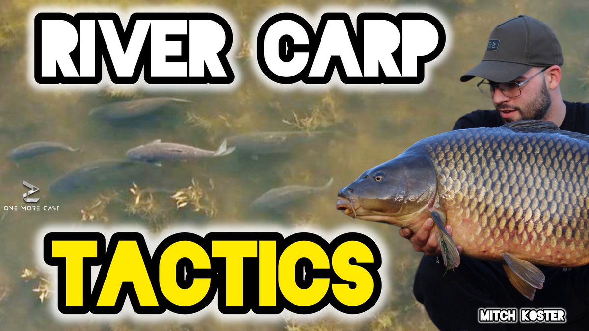 “Blanking still happens – that’s fishing – but it’s becoming increasingly rare...” 👀🎣 

omctackle.com/blogs/fishing-… 

#fishing #carpfishing