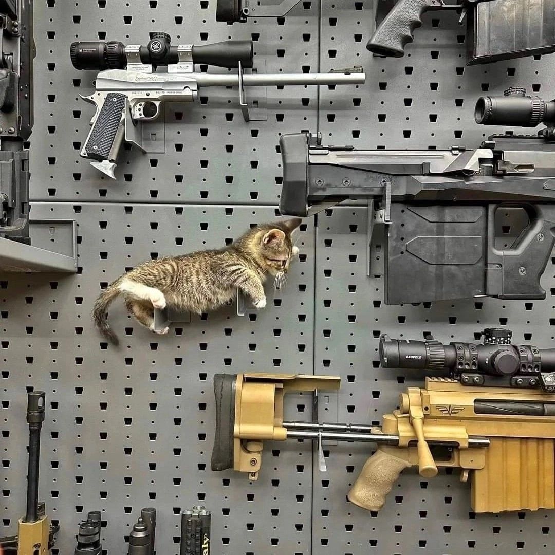 rare_jpg's tweet photo. https://t.co/vDCGzuNZOn