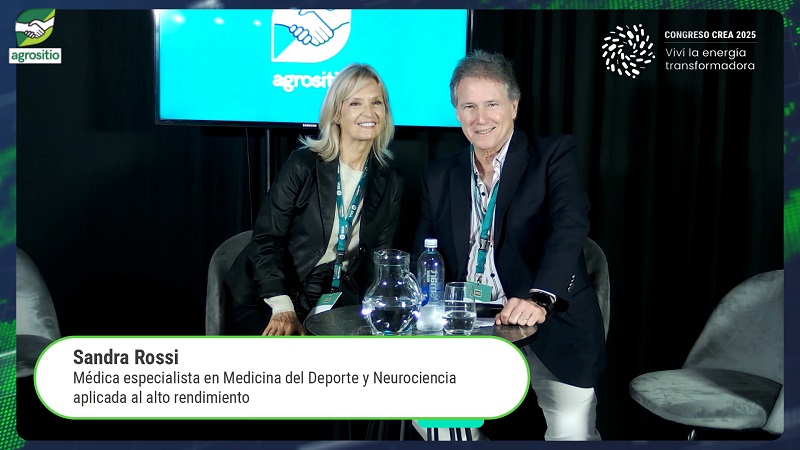 agrositio's tweet image. Campo y agroempresas: Sandra Rossi "la mamá de River" nos habla de Neurociencias y equipos exitosos
#campo #equipos #neurociencias #RiverPlate 

agrositio.com.ar/canal-agrositi…