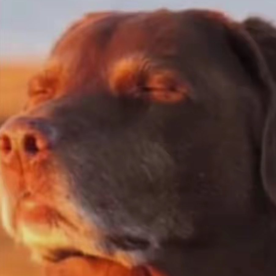 Akaruu TV tweet media