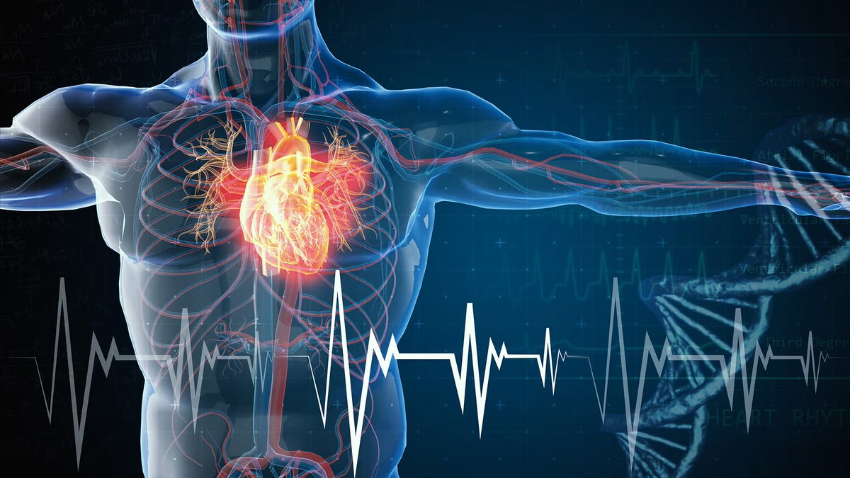IAPAC's tweet photo. The updated @HHSGov #HIV Clinical Guidelines now include a new section on cardiovascular and metabolic complications – addressing a critical dimension of long-term care. Read what’s new: https://t.co/y26sNdduZW https://t.co/SazM5a2BGP