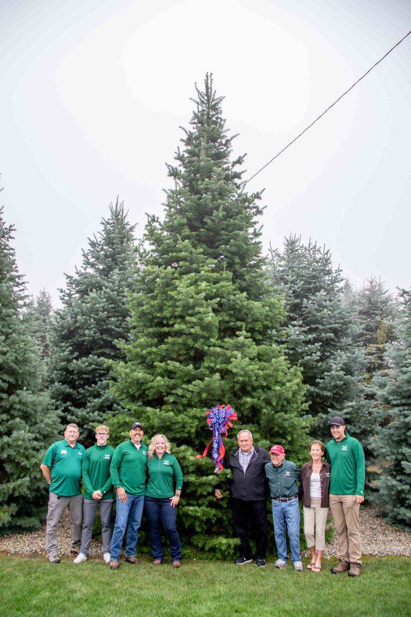 Trees4Troops's tweet image. Congrats to Korson’s Tree Farms in MI — they’ve been named the 2025 National Grand Champion by the @RealTrees! 🎉

Their tree will head to the @WhiteHouse this December. It’s the first Michigan tree selected in 40 years!

📸: Cory Smith, Daily News

#WhiteHouseTree