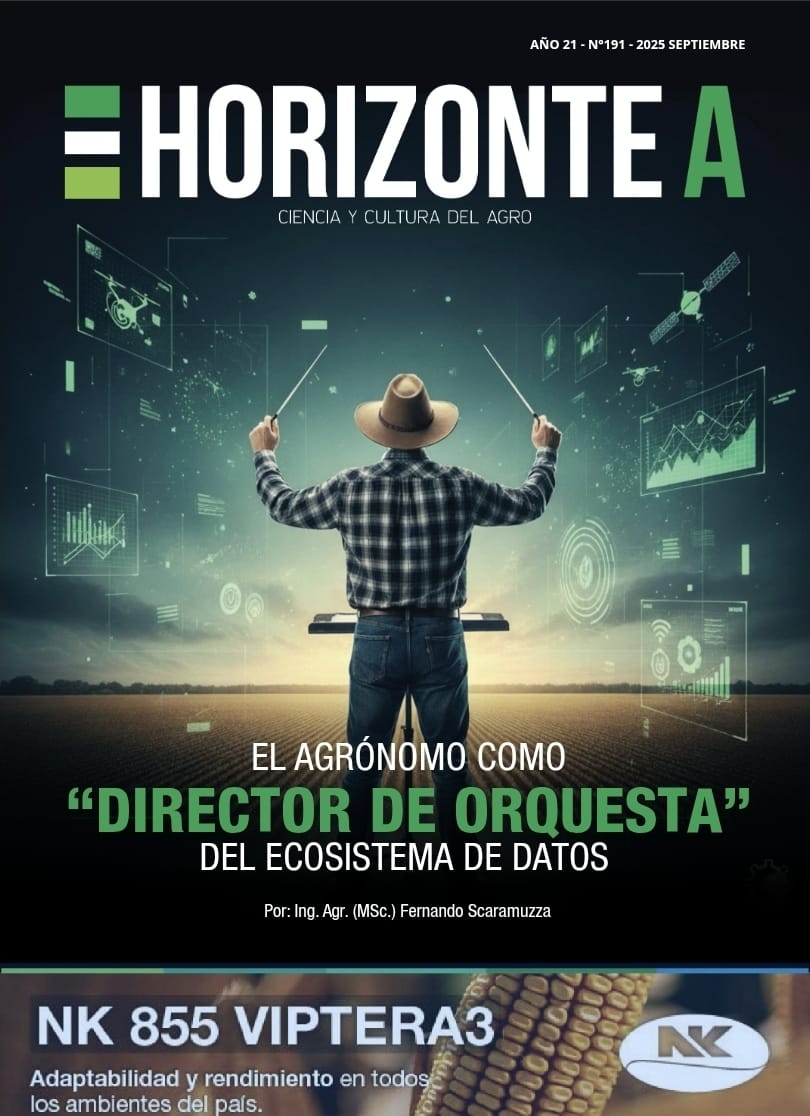 Fer Scaramuzza tweet media