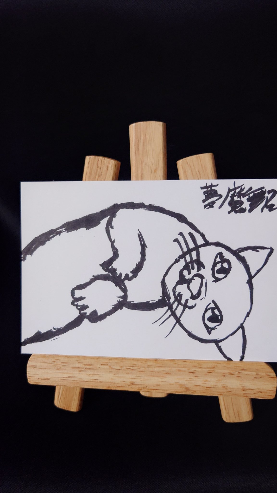 原画/イラスト/ストリートアート/現代アート/ペン画/ RAIN CAT 猫 原画/イラスト/ストリートアート/現代アート/ペン画/ RAIN CAT