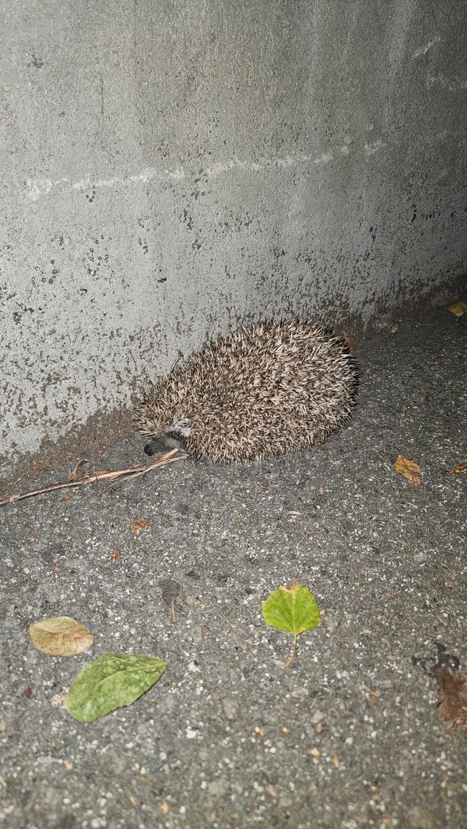 Matthew Simone | The Web3 Gamer tweet media