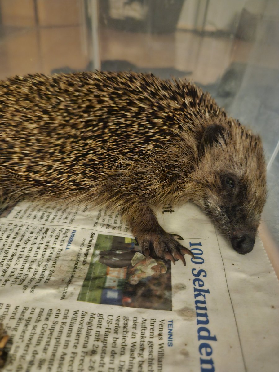 𝐤𝐥𝐢𝐦𝐟𝐲 tweet media