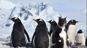 Я среди одногруппников (они младше меня)