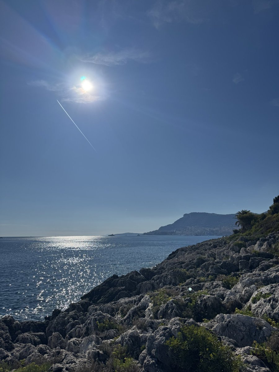 kevosu3's tweet image. Today I walked 10 miles along Promenade Le Corbusier, made my own perfume, and had pizza for lunch