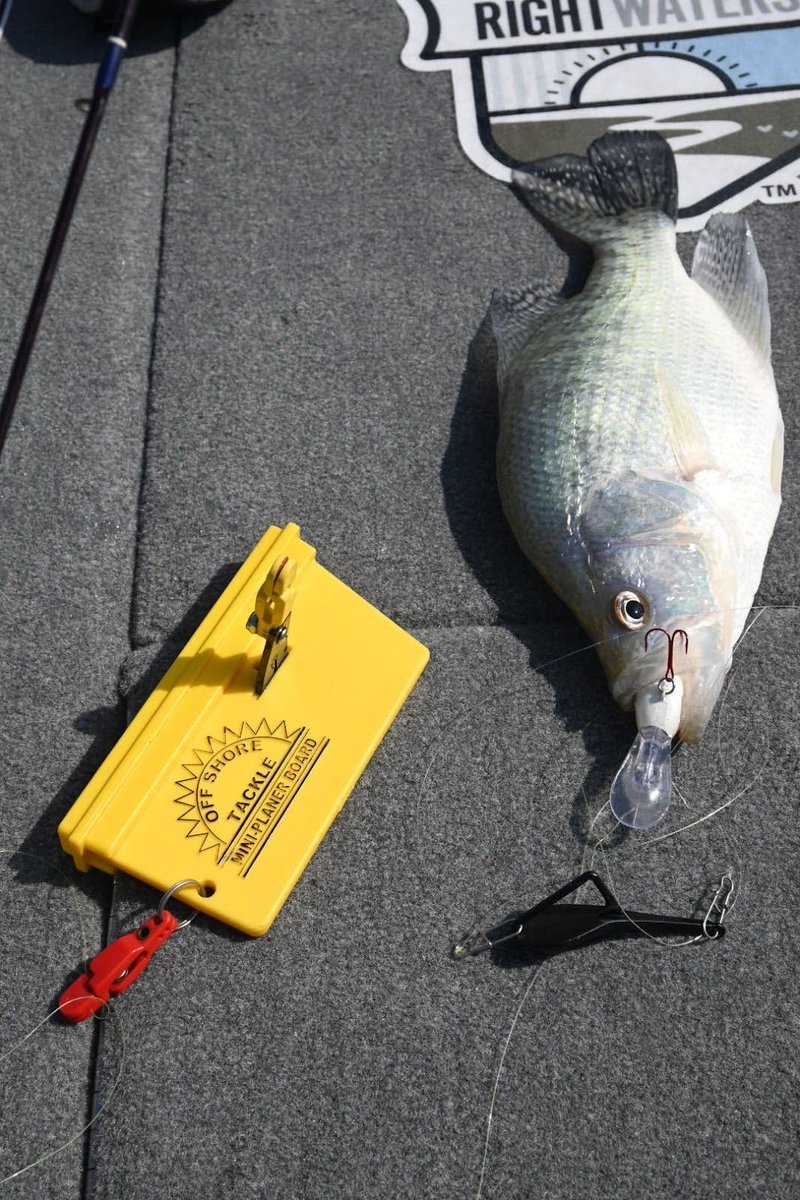 crappiemates's tweet image. Want to catch more crappie right now? You need to cover more water and different depths, and Off Shore Tackle Company planer boards paired with tadpole divers make that possible.

offshoretackle.com

#OffShoreTackle #CrappieDan #CrappieMates #PlanerBoard #TadpoleDive