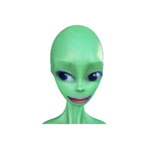 Daisy aka Skai 🩵 tweet media