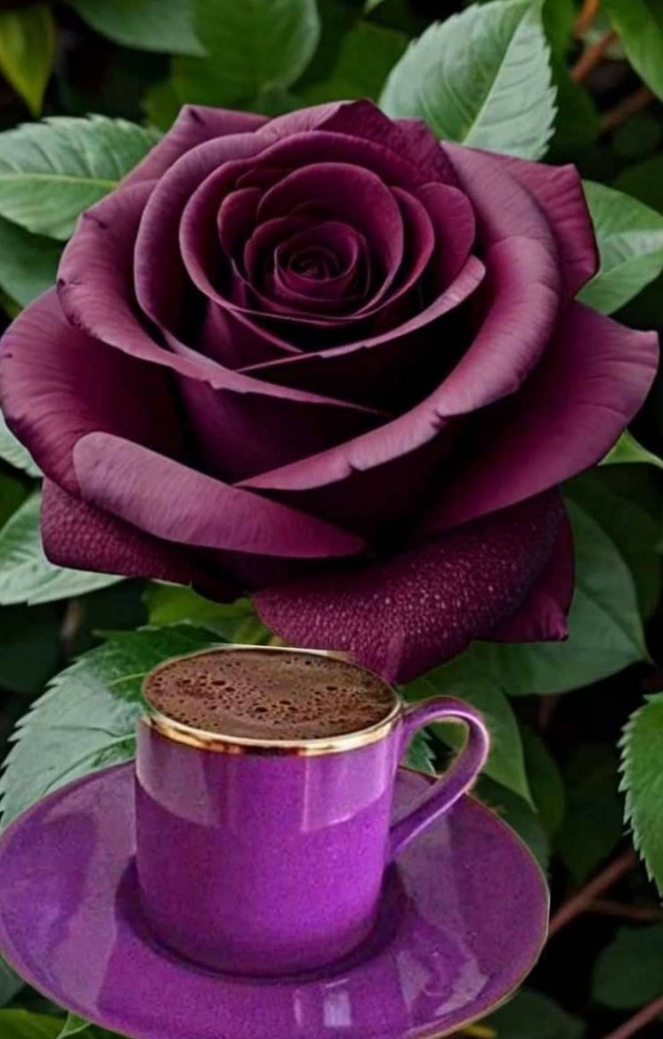 dawnclark6's tweet image. #NationalCoffeeDay ☕ 
Everyday is a coffee day 🌞
#CoffeeLover 💜 #Coffee