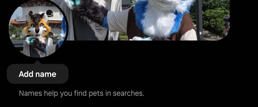 NickTheAwoof tweet media