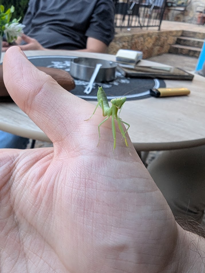 Simo (@veqsimo) on Twitter photo 