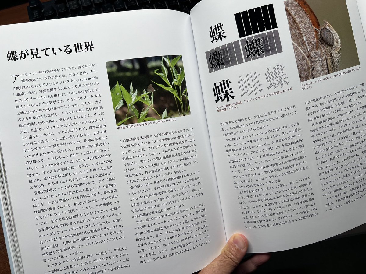 ハートランダー様　虫 虫キチコージ (@mushikichi_koji) / X