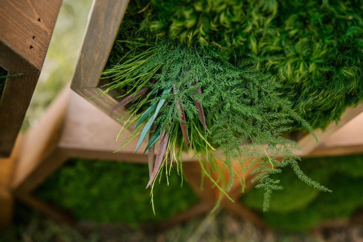 Artisan Moss tweet media