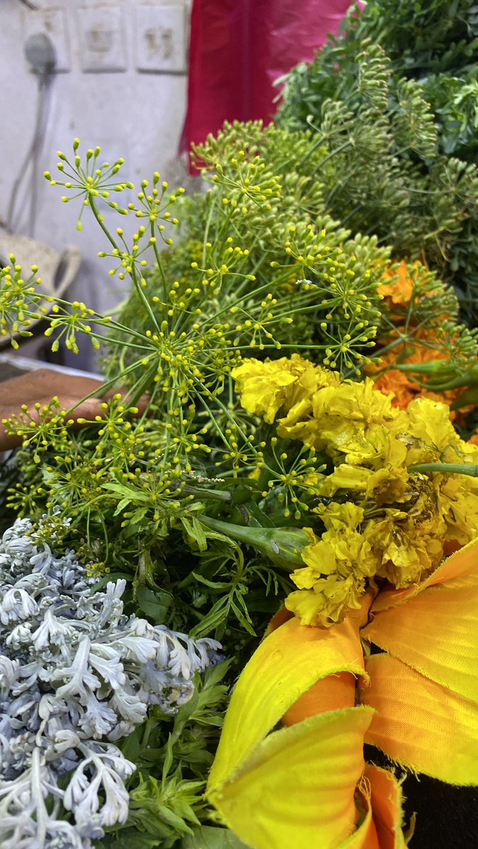 إليك عني فشعري وحي فاتنتي
فهي التي تبتلي وهي التي توحي
وهي التي أطلقتني في الكرى حلماً
حتى عبرت لها حلم المصابيحِ
ماجردت مقلتاها غير سيف دمي
وماعلى ثغرها إلاتباريحي
وماتيممت شمسا غير صادقة
ولاطرقت سماء غير مفتوحِ
فأي قولي أحلى عند سيدتي
ماقلت للنخل،أم ماقلت للشيحِ؟
#محمد_الثبيتي