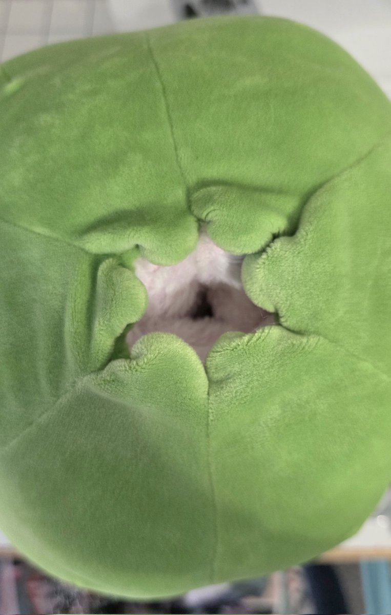 StuffMyStuffies 🧸 tweet media