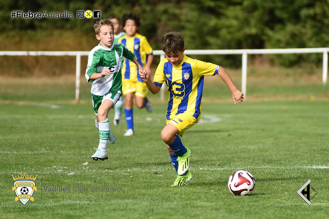 VadillosCF's tweet photo. @cdjuventuddc "B" 2-6 Alevín "B" @d3burgos 
Victoria de los chicos de @DavidAld85, @Llorentee27 y @Mario_P_C en un buen partido de ambos equipos💛💙

➕️3️⃣ Jornada 1

#FiebreAmarilla #FamiliaVadillista

📷 @javichicato https://t.co/3LBEt1P3S3