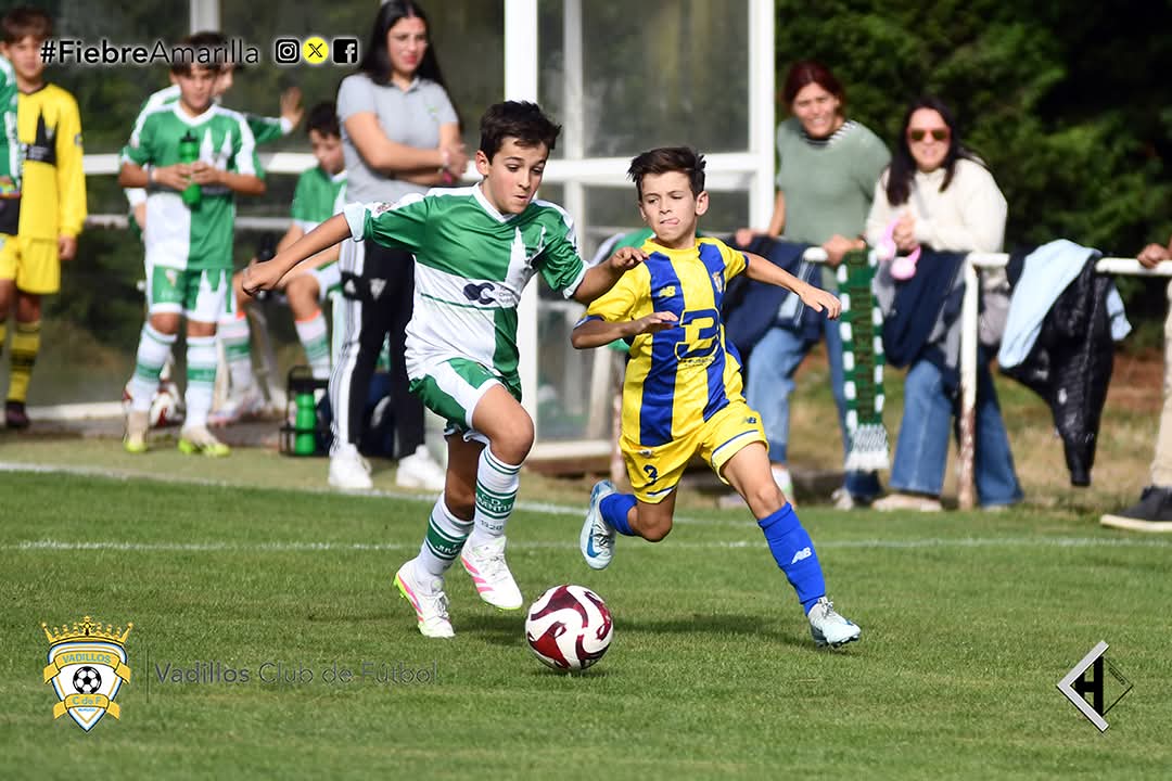 VadillosCF's tweet photo. @cdjuventuddc "B" 2-6 Alevín "B" @d3burgos 
Victoria de los chicos de @DavidAld85, @Llorentee27 y @Mario_P_C en un buen partido de ambos equipos💛💙

➕️3️⃣ Jornada 1

#FiebreAmarilla #FamiliaVadillista

📷 @javichicato https://t.co/3LBEt1P3S3