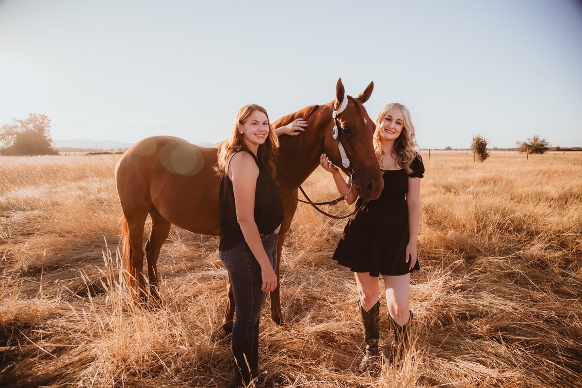 AfterFinishLine's tweet photo. Meet BEAUTYINTHEBEAST, a #Calbred #OTTB competing in Barrel Racing at Thoroughbred Makeover 10/8-11 at KY Horse Park. Earned $51K racing at Los Al, GGF, Fair tracks. Lives in Oregon. Eligible for $5K Top-Placed Cal-Bred Award & reimbursement of trainer entry/schooling/stall fees. https://t.co/tCN2p97Ijg