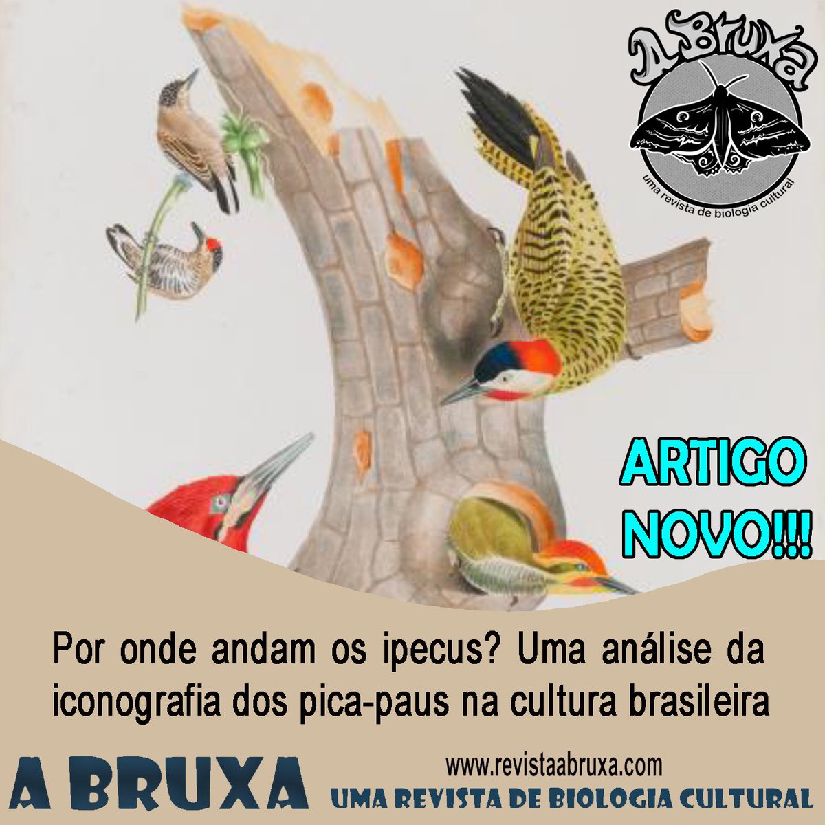 RevistaABruxa's tweet photo. Artigo novo!!!
Por onde andam os ipecus? Uma análise da iconografia dos pica-paus na cultura brasileira, de Daubian Santos (Univ. Fed. ABC).
https://t.co/QOi0PeWTez
#revistaabruxa #venhavoarcomabruxa #ornitologiacultural #zoologiacultural #etnoornitologia #etnozoologia https://t.co/xc9yc3COkt