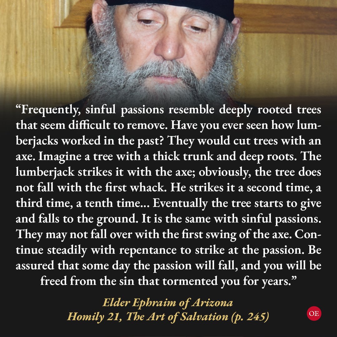 OrthodoxEthos's tweet photo. Be assured that some day the passion will fall, and you will be freed from the sin that tormented you for years. ☦ https://t.co/7Tixbhoajd