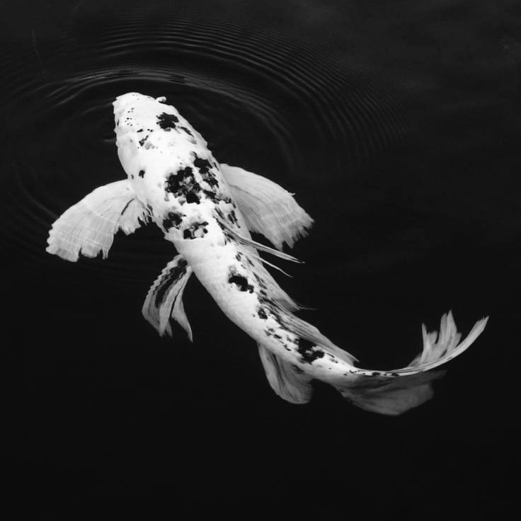 чай? кофе? меня?