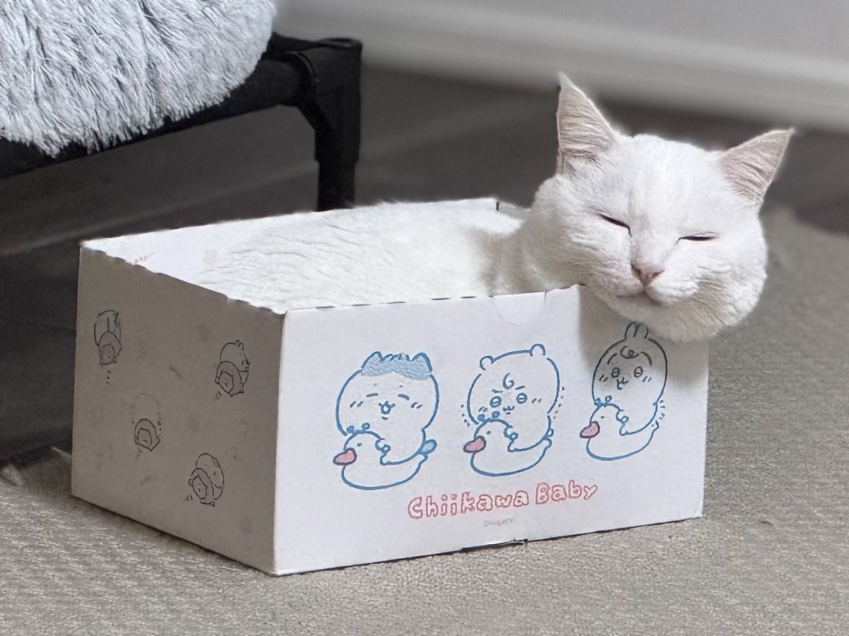 ハク様 (@hakusama0906) / Posts / X