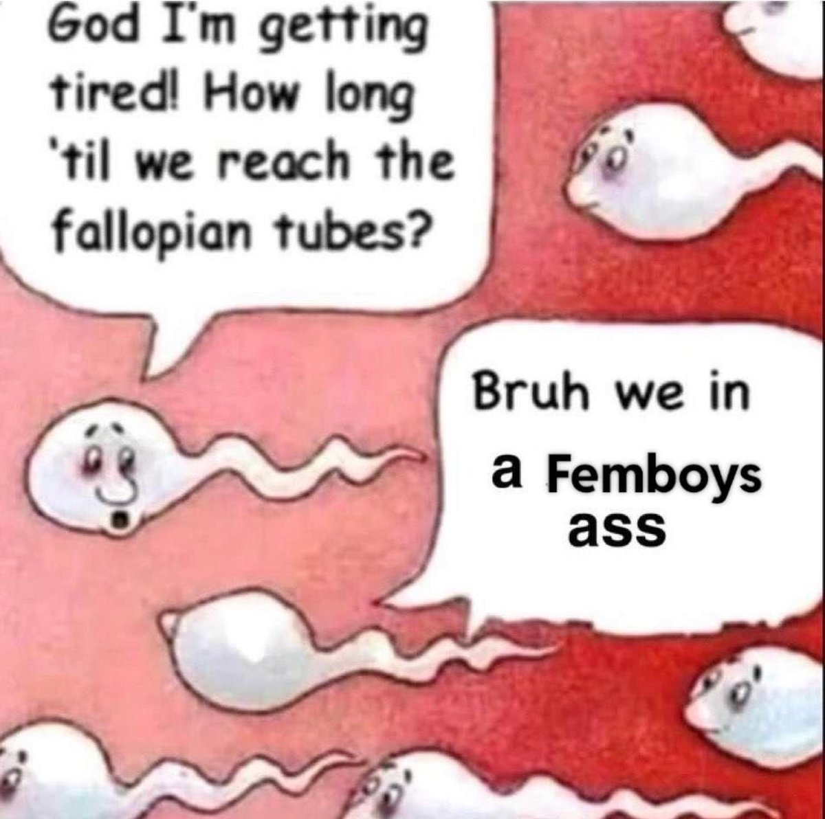 FemboyLoveerr's tweet image. 