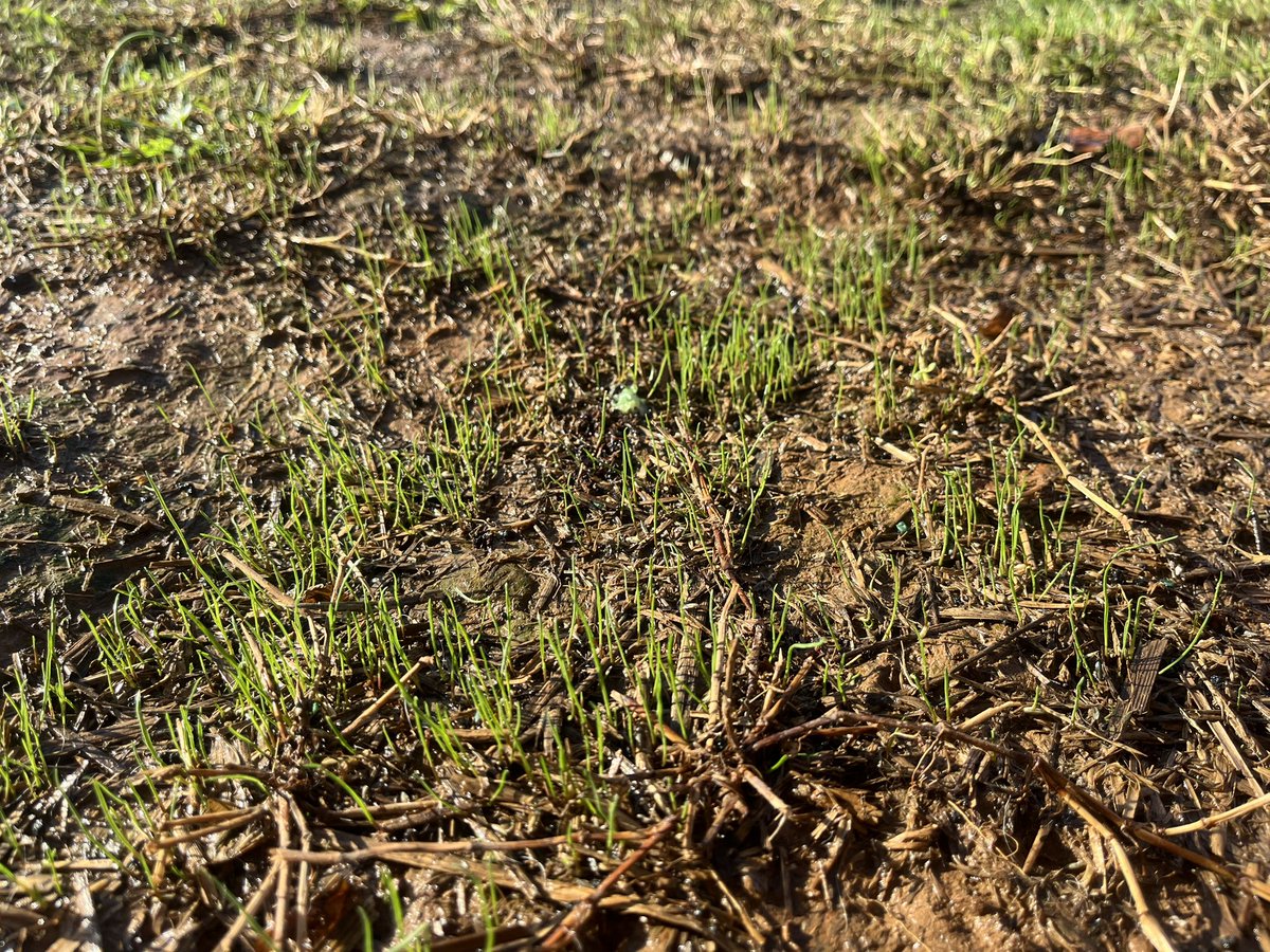 Jacob Thompson tweet media