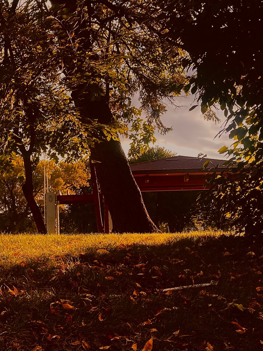 TheMidwestFella's tweet photo. Fall has been great so far https://t.co/7CLHCk8v3f