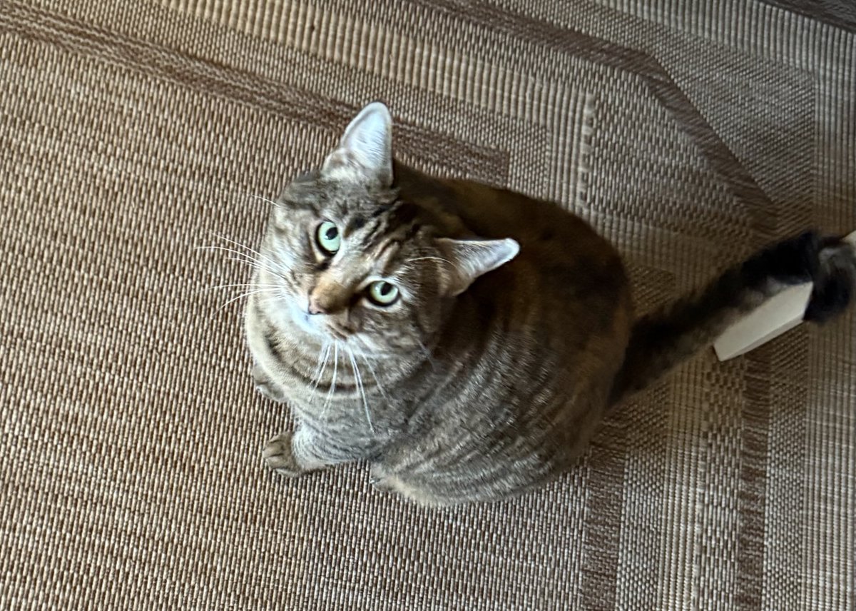 This is Kitty. She lives in Colorado.