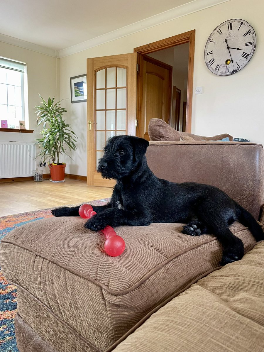 👑 and his sceptre