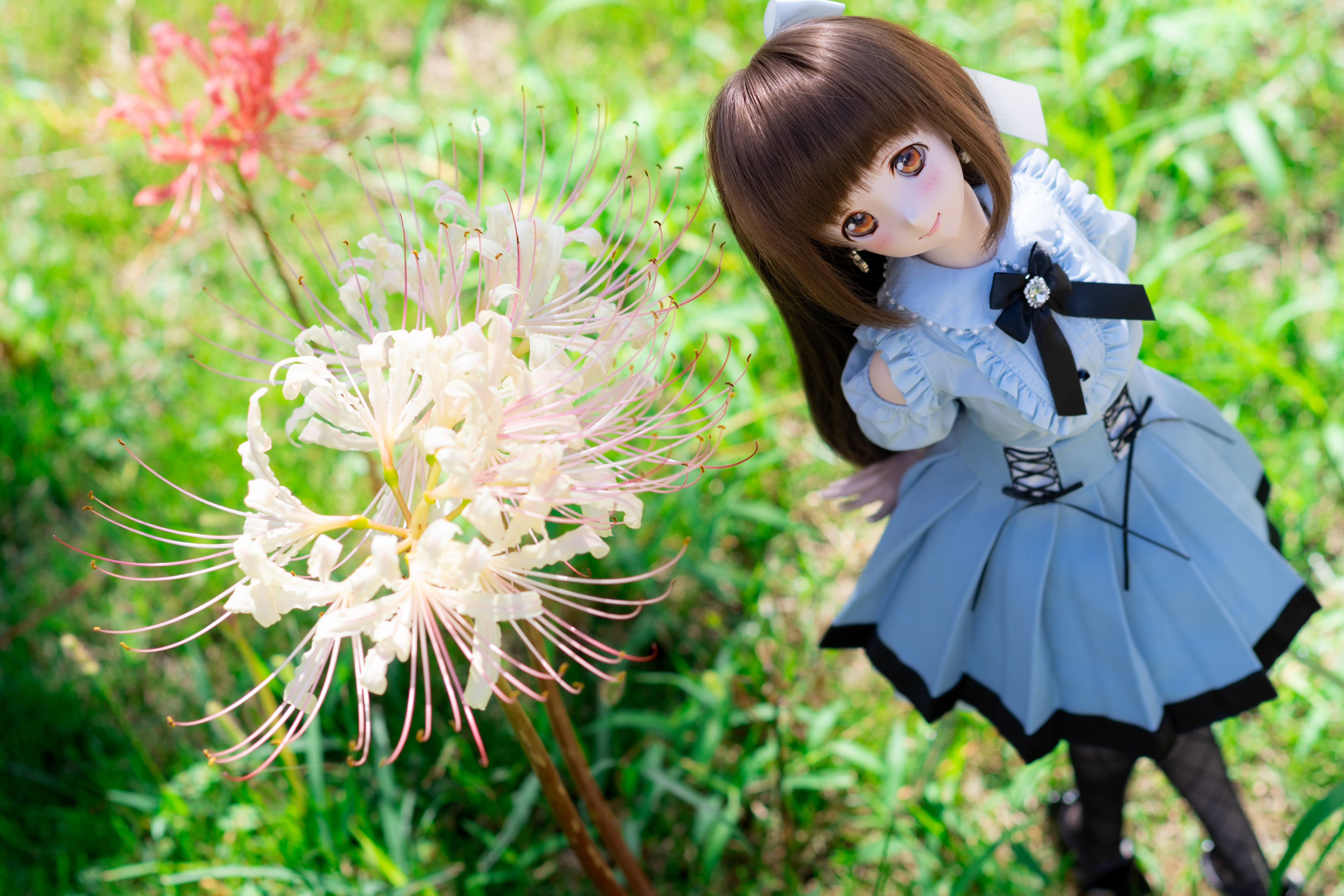 かっこうさぎ様☆確認page♡゜ジェラトーニ染色リメイクリクエストオーダー☆ かっこうさぎ様☆確認page♡゜ジェラトーニ染色リメイク