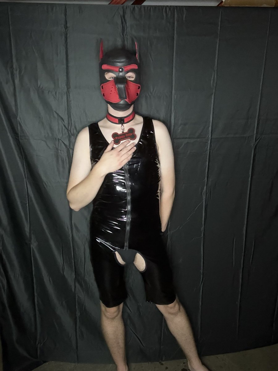 PupOtto106's tweet photo. Serving up a new Paw-some look in rubber 🐶 https://t.co/YWFmkoCoZS