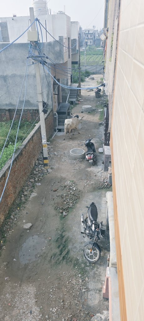 kandpal4's tweet photo. It is more than 1 year of execution of sever work in this colony and till date these manholes are as it is. Many accidents happened, streets get almost closed as there height is almost 2 ft from the ground.  

Are we people left to live in such kind of area,what is the timeline? https://t.co/o6PBADulH7