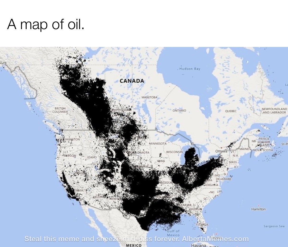 Alberta Memes tweet media